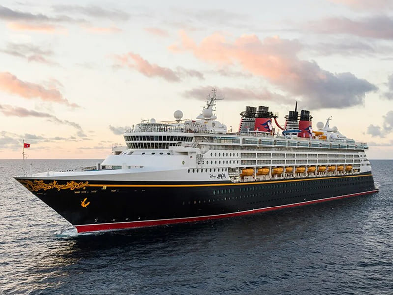 Disney Magic